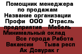 Помощник менеджера по продажам › Название организации ­ Профи, ООО › Отрасль предприятия ­ Мебель › Минимальный оклад ­ 60 000 - Все города Работа » Вакансии   . Тыва респ.,Ак-Довурак г.
